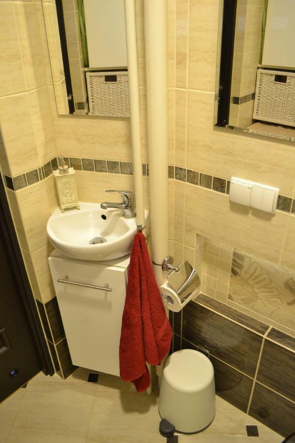 Apartament W Centrum Gdanska, Apartment In The Centre Of Gdańsk Buitenkant foto